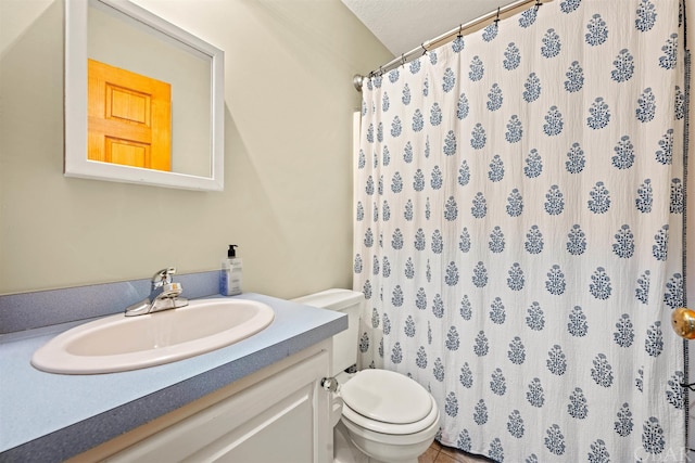 bathroom featuring toilet, vanity, and a shower with curtain