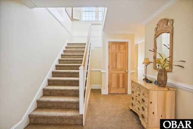 stairway featuring ornamental molding, carpet, and baseboards