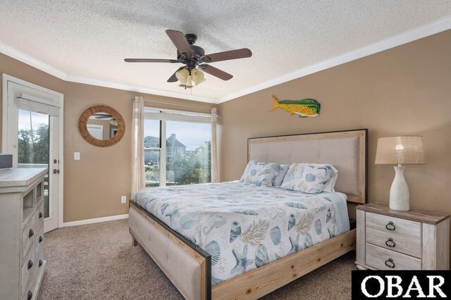 424 Pirates Way Unit 424A, Manteo, NC 27954 - carpeted bedroom with crown molding, multiple windows, and a textured ceiling