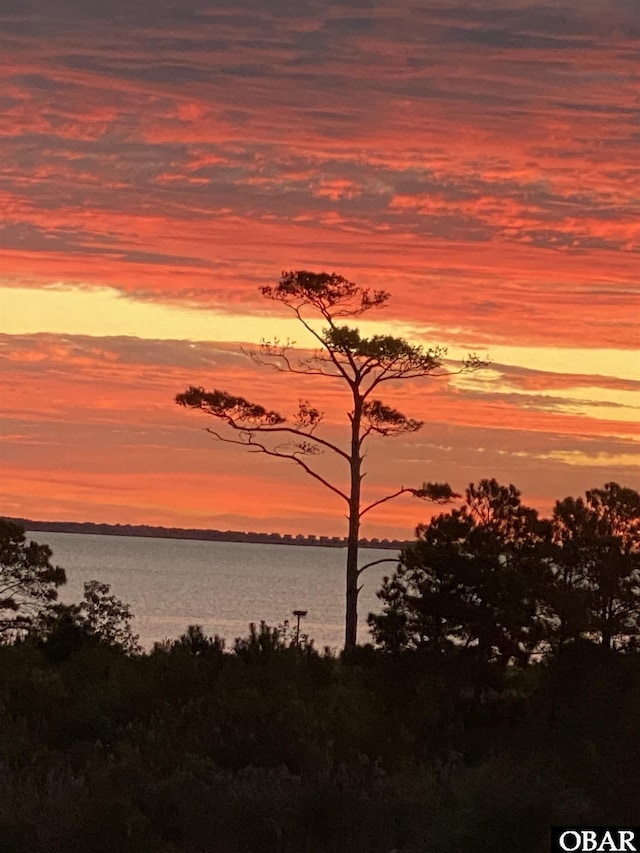 100F Mercedes Ct Unit F, Grandy, NC 27939 - nature at dusk with a water view