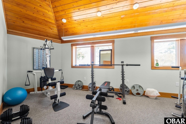 100F Mercedes Ct Unit F, Grandy, NC 27939 - exercise area featuring baseboards, lofted ceiling, and carpet floors