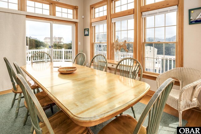 dining room featuring baseboards and wood finished floors