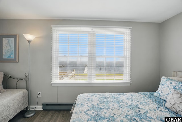 184 Tabernacle Ln, Aydlett, NC 27916 - bedroom featuring baseboard heating, wood finished floors, and multiple windows