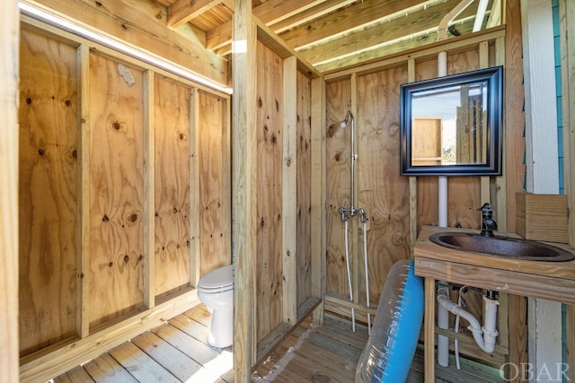 interior space with a sink, toilet, and wood finished floors