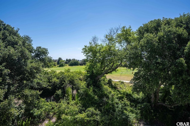 view of local wilderness