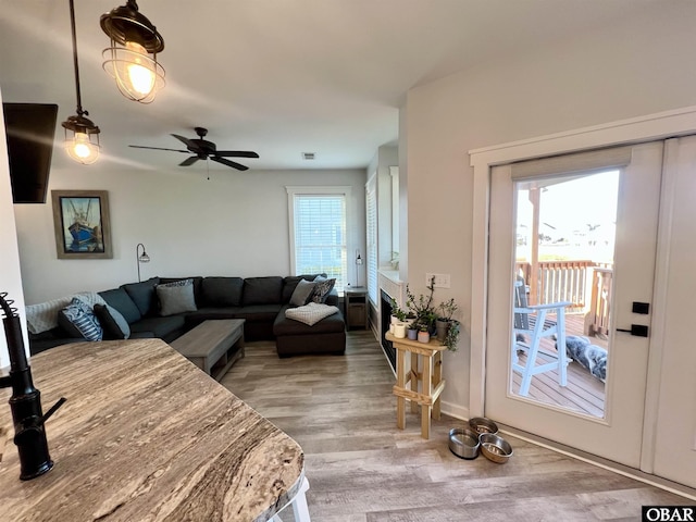 living area featuring visible vents, a ceiling fan, and wood finished floors