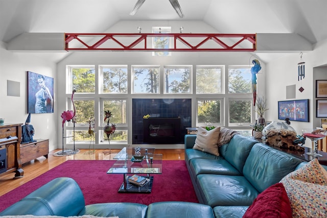 living room with high vaulted ceiling and wood finished floors