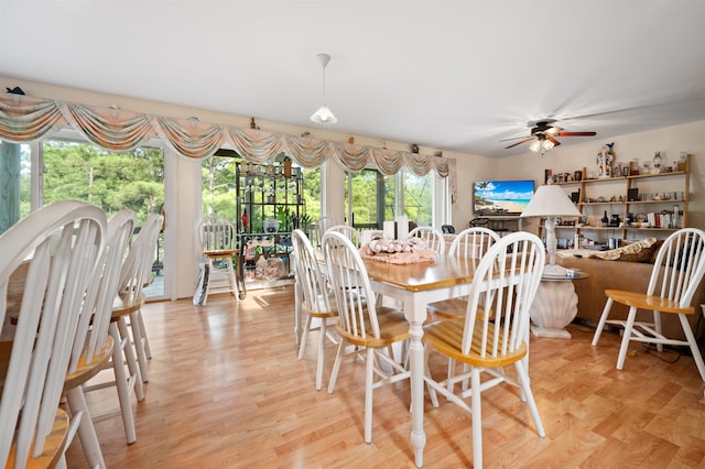 dining room with ceiling fan and light wood-style flooring