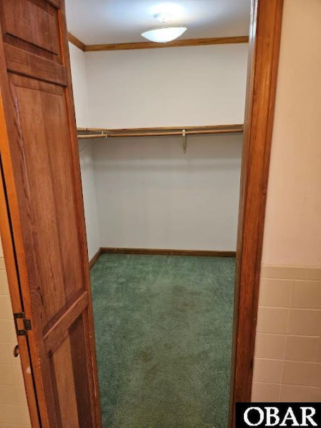 spacious closet featuring carpet floors