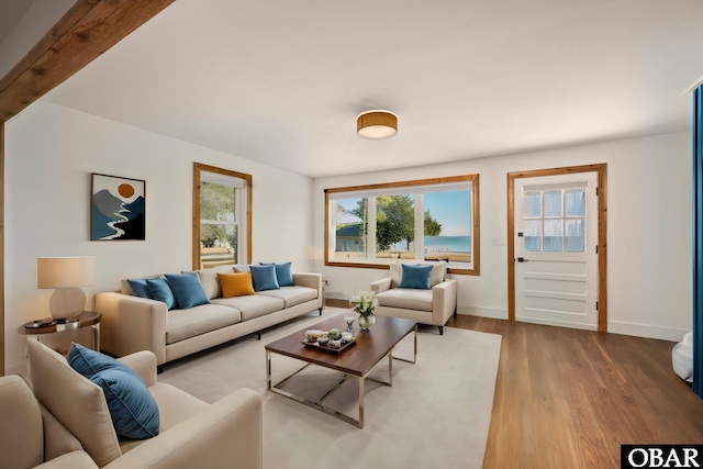living room featuring baseboards and wood finished floors