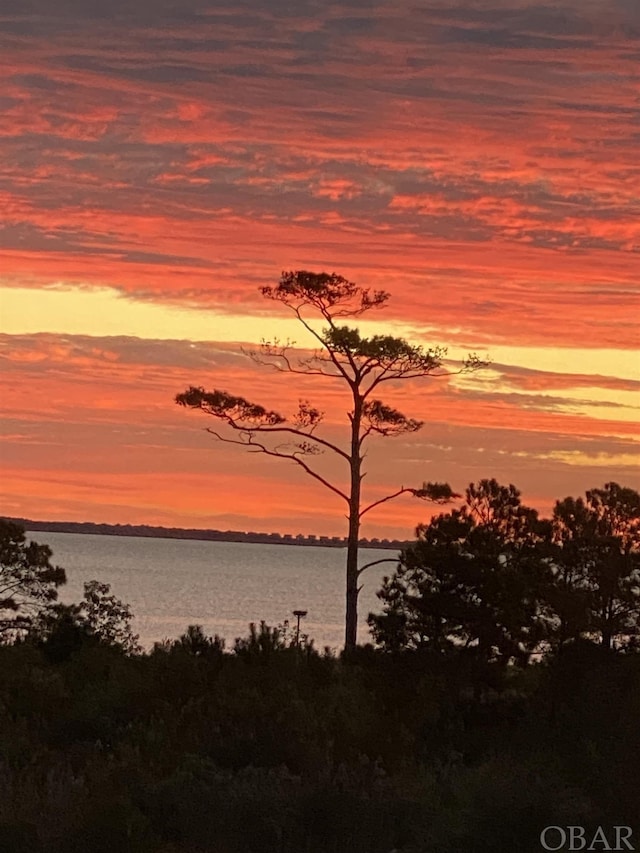 view of nature featuring a water view