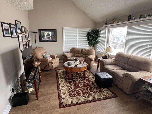 living area featuring high vaulted ceiling, baseboards, and wood finished floors