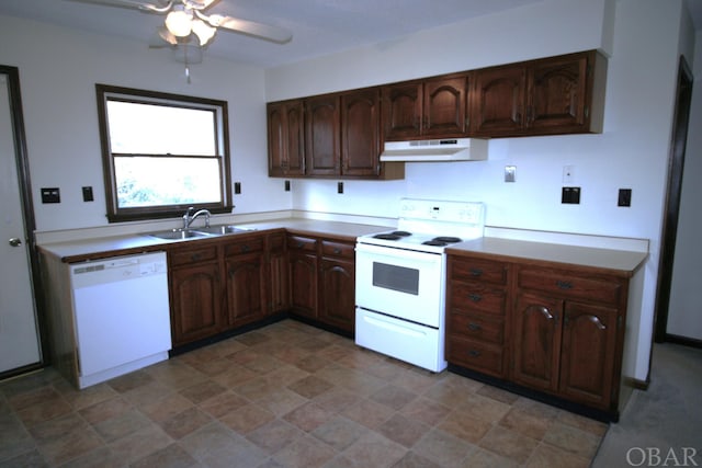 kitchen with dark brown cabinetry, under cabinet range hood, white appliances, a sink, and light countertops