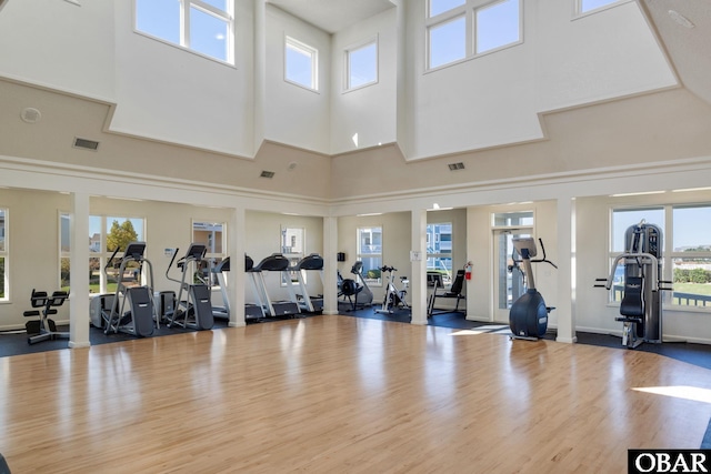 39 Hammock Dr Lot 39, Manteo, NC 27954 - photo 40