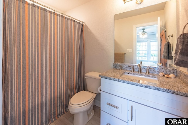 bathroom featuring toilet, a textured wall, a shower with curtain, and vanity