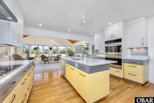 kitchen with under cabinet range hood, appliances with stainless steel finishes, light wood-style floors, and a sink