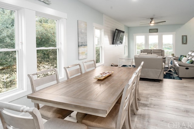 dining room with a ceiling fan and light wood finished floors