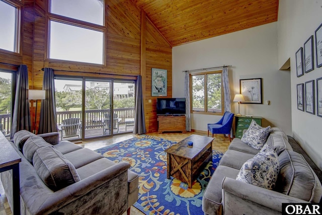 50050 Bayside Ct Lot 30, Frisco, NC 27936 - living area with high vaulted ceiling, plenty of natural light, wood ceiling, wood walls, and baseboards