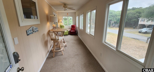 4327 S Hammerhead Dr Lot # 37, Nags Head, NC 27959 - sunroom featuring baseboards and carpet flooring