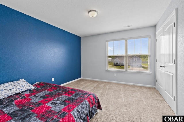 115 Sligo Way Lot 10, Moyock, NC 27958 - carpeted bedroom with multiple windows