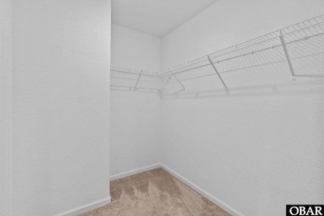 115 Sligo Way Lot 10, Moyock, NC 27958 - spacious closet with light carpet