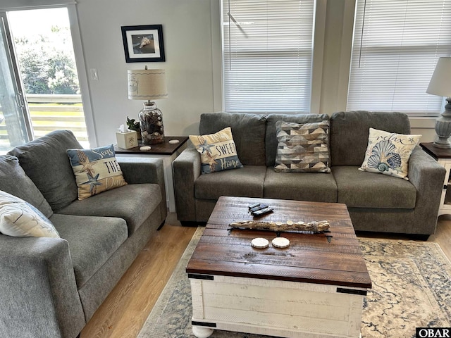 living area featuring wood finished floors