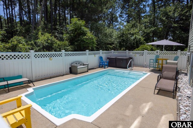 view of swimming pool with a patio, a fenced backyard, and a fenced in pool