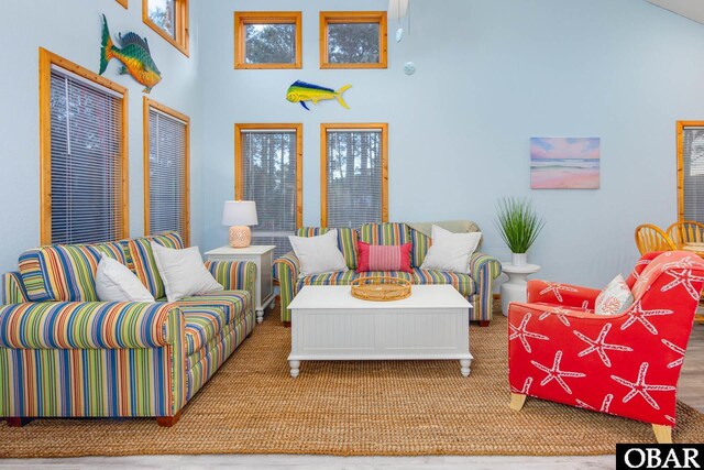 carpeted living room with a high ceiling