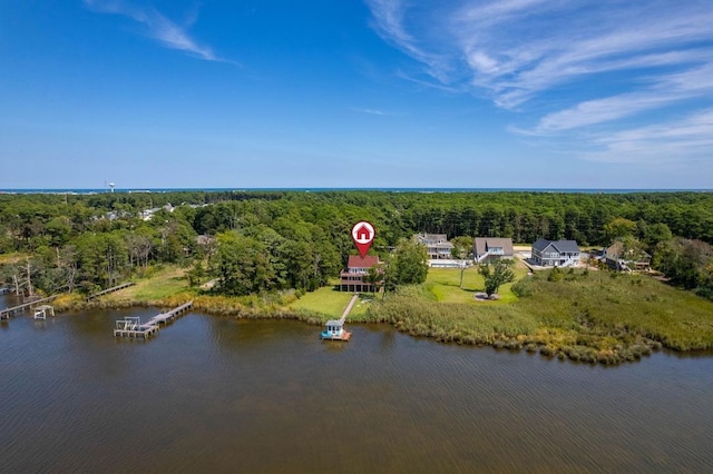 drone / aerial view with a water view and a wooded view