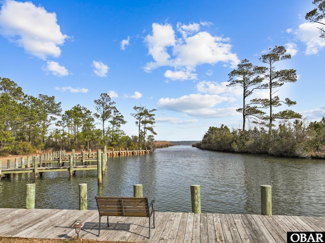 dock area with a water view