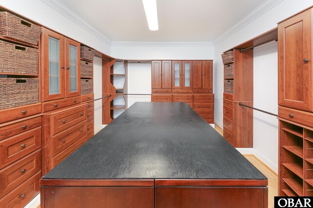 892 S Mills Rd Lot 10, Moyock, NC 27958 - spacious closet featuring light wood finished floors