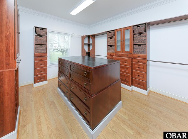 892 S Mills Rd Lot 10, Moyock, NC 27958 - spacious closet featuring light wood-style floors