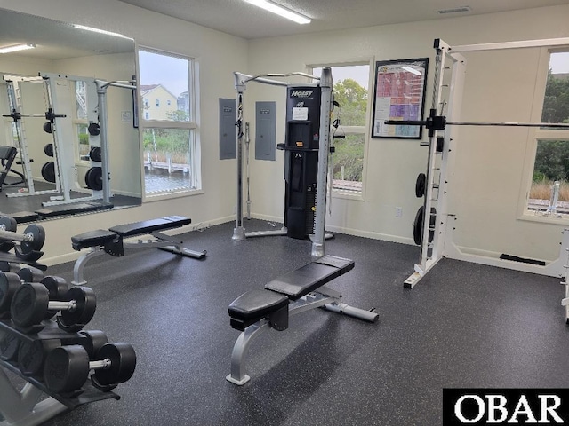 exercise room with electric panel, a wealth of natural light, and baseboards