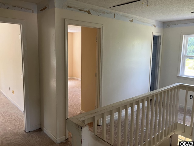 356 Pond Rd, Wanchese, NC 27981 - photo 14