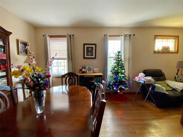 dining area featuring dark wood-type flooring