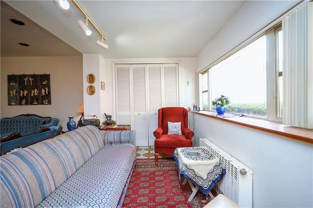 living room with radiator and rail lighting