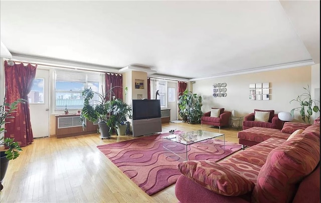 living room with ornamental molding and light wood-type flooring