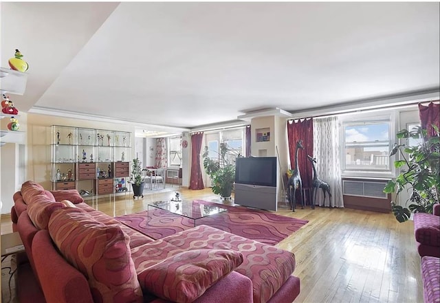 living room featuring light hardwood / wood-style floors