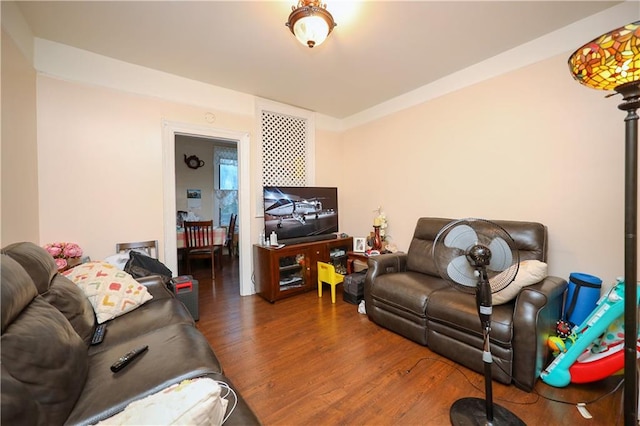 living room with dark hardwood / wood-style flooring