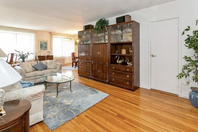 living room with light wood-type flooring