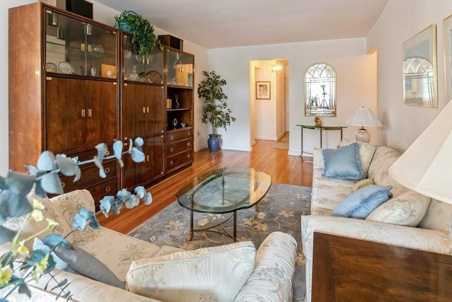 living room featuring wood-type flooring