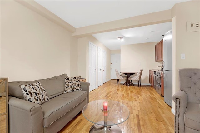 living room featuring light hardwood / wood-style flooring