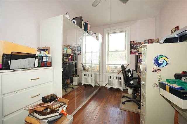 home office featuring dark hardwood / wood-style floors and radiator