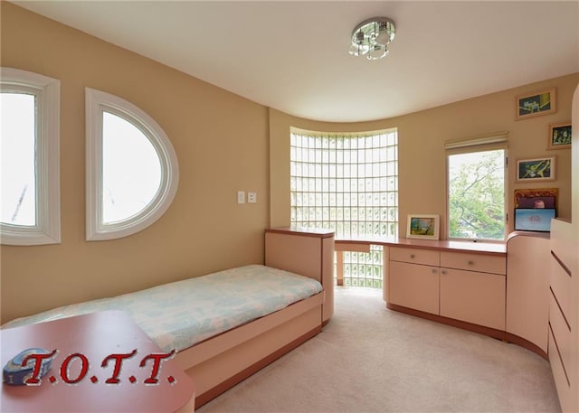 bedroom with light colored carpet