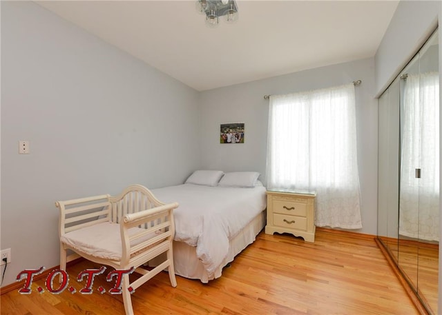 bedroom featuring light hardwood / wood-style floors