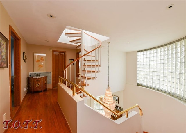 corridor with dark hardwood / wood-style floors