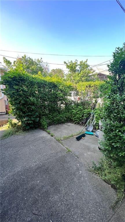 2648 E 11th St, Brooklyn, NY 11235 - view of yard