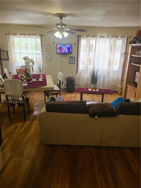 living room featuring ceiling fan and hardwood / wood-style floors