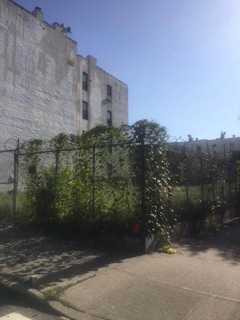 314 49th St, Brooklyn, NY 11220