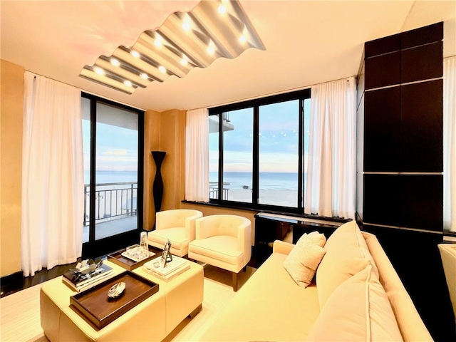 living room featuring a view of the beach, a water view, a wall of windows, and light hardwood / wood-style floors